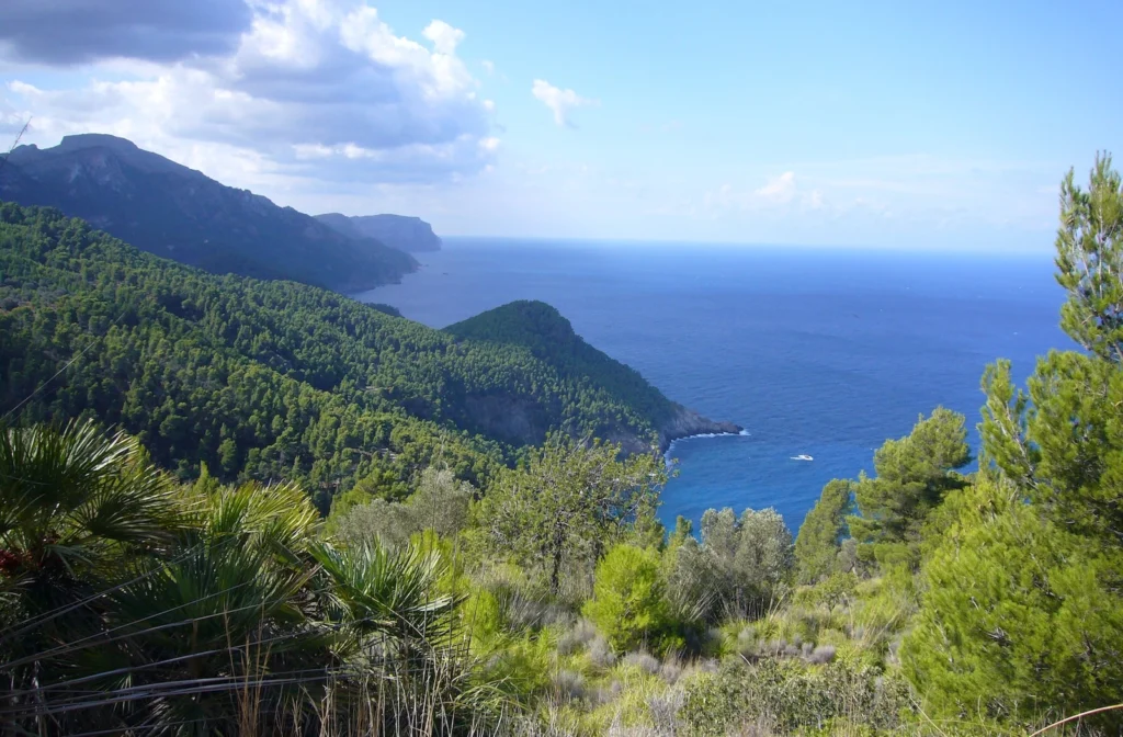 Blick auf die Küste und das Meer bei einer Wanderung im Südwesten von Mallorca